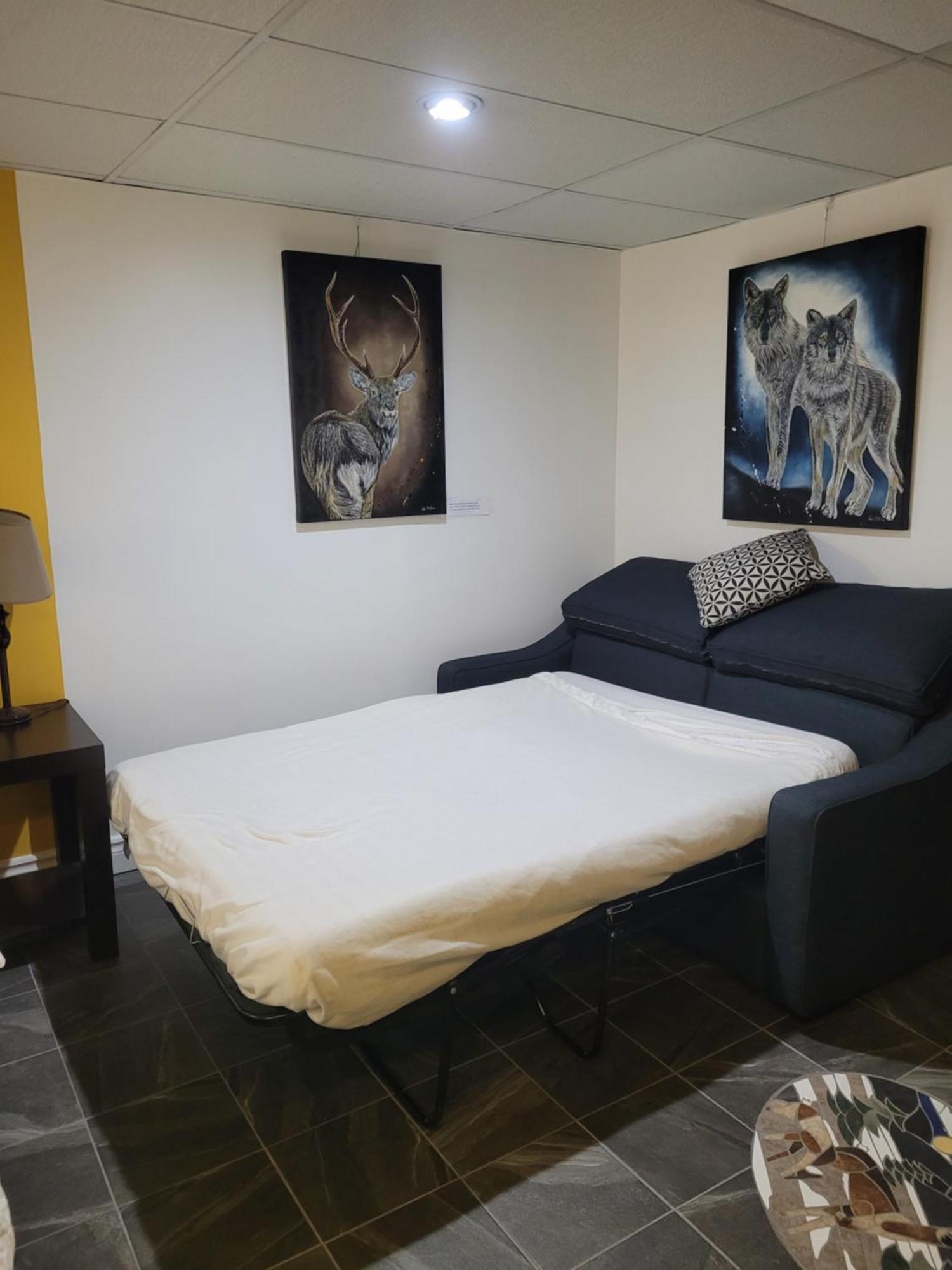Appartement Bellevue Saint-Félicien Exterior foto